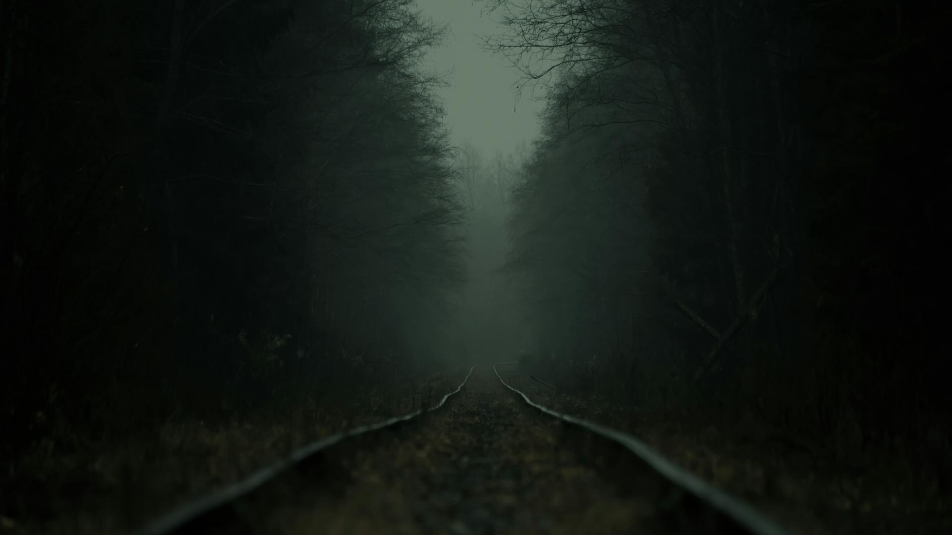 A dark, atmospheric railroad running through a foggy forest, creating a mysterious and moody scene.